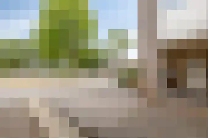 Mimosastraat 4 Rosmalen thumbnail 40