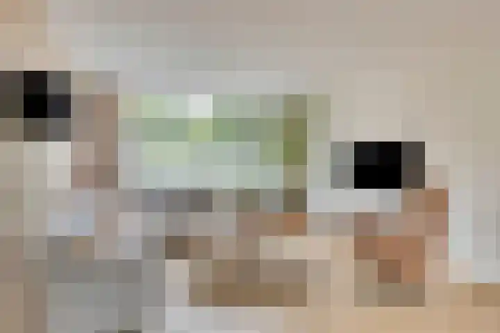 Mimosastraat 4 Rosmalen thumbnail 6