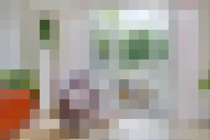 Mimosastraat 4 Rosmalen thumbnail 8