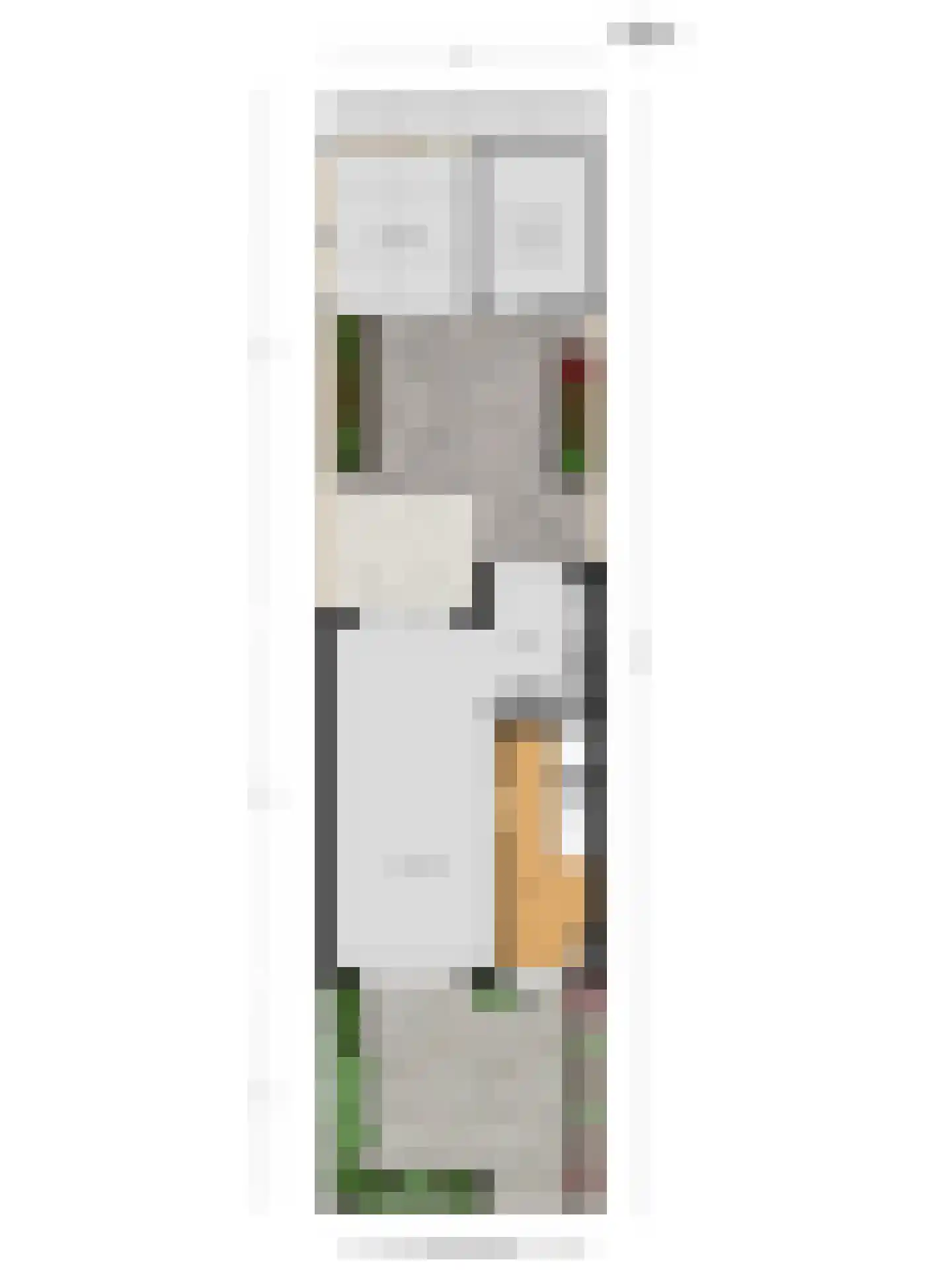 Mimosastraat 5 Roelofarendsveen thumbnail 24