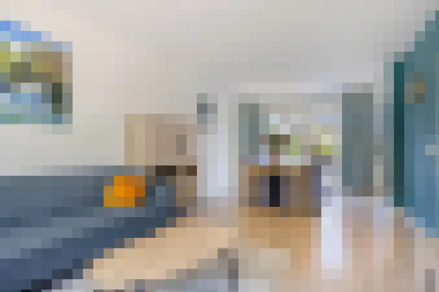Mimosastraat 5 Roelofarendsveen thumbnail 4