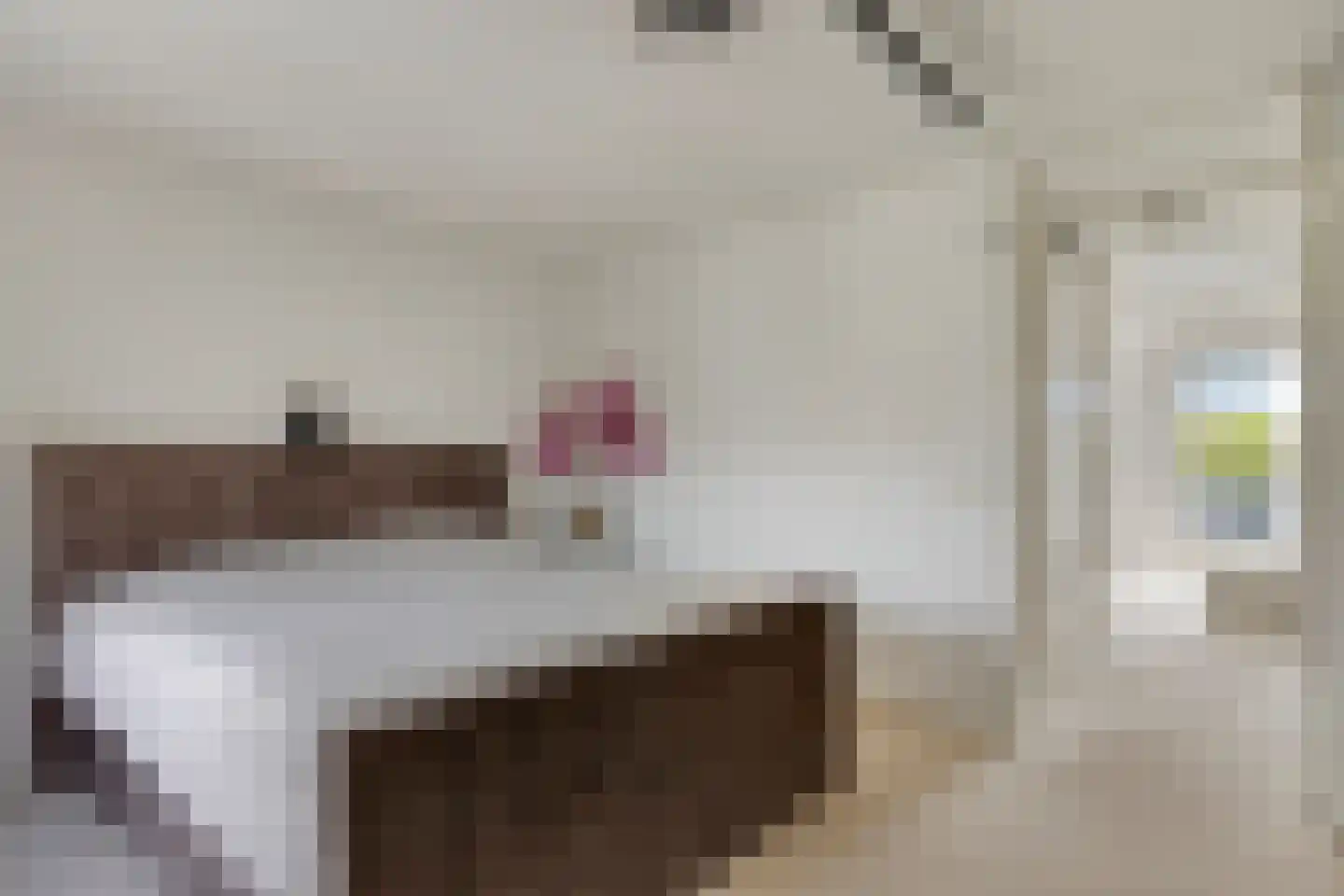 Mimosastraat 57 Utrecht thumbnail 16