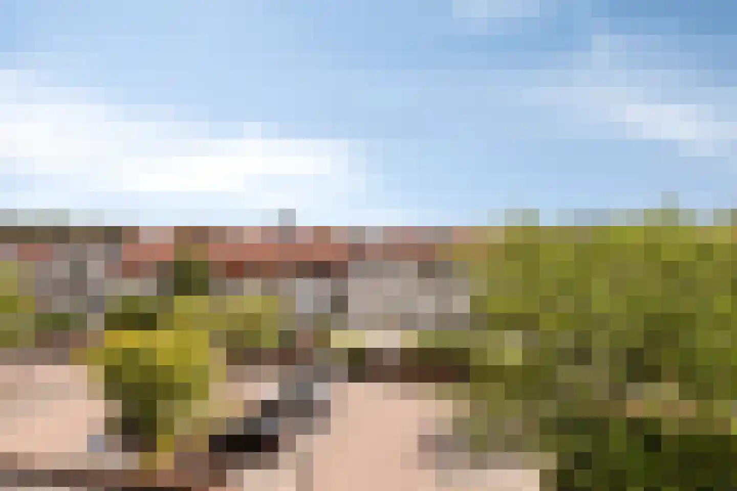 Mimosastraat 57 Utrecht thumbnail 22