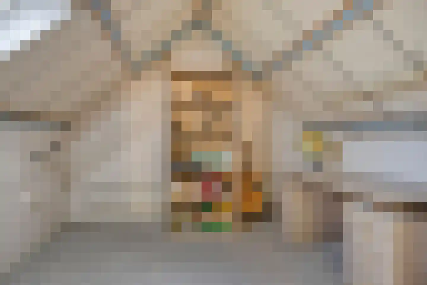 Mimosastraat 8 Rosmalen thumbnail 20
