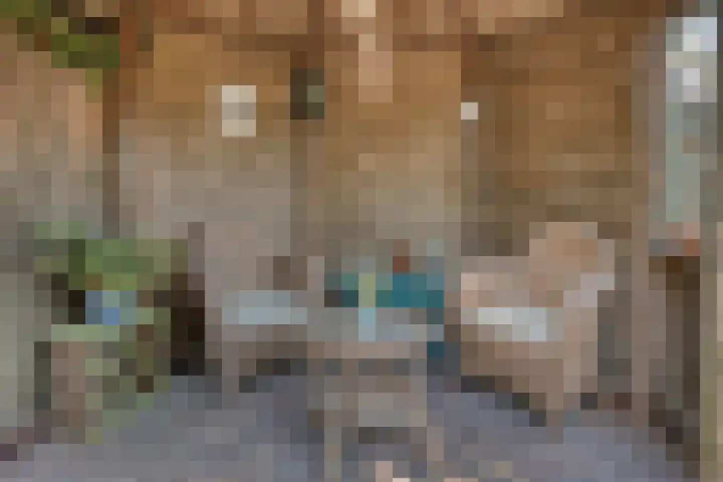 Mimosastraat 8 Rosmalen thumbnail 25