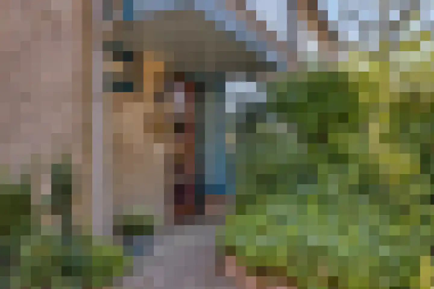 Mimosastraat 8 Rosmalen thumbnail 28
