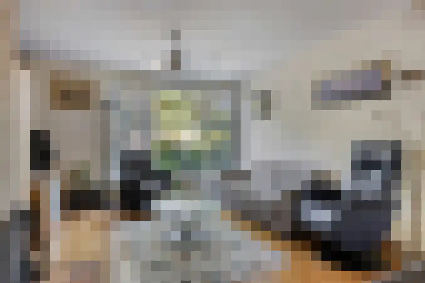 Mimosastraat 8 Rosmalen thumbnail 5