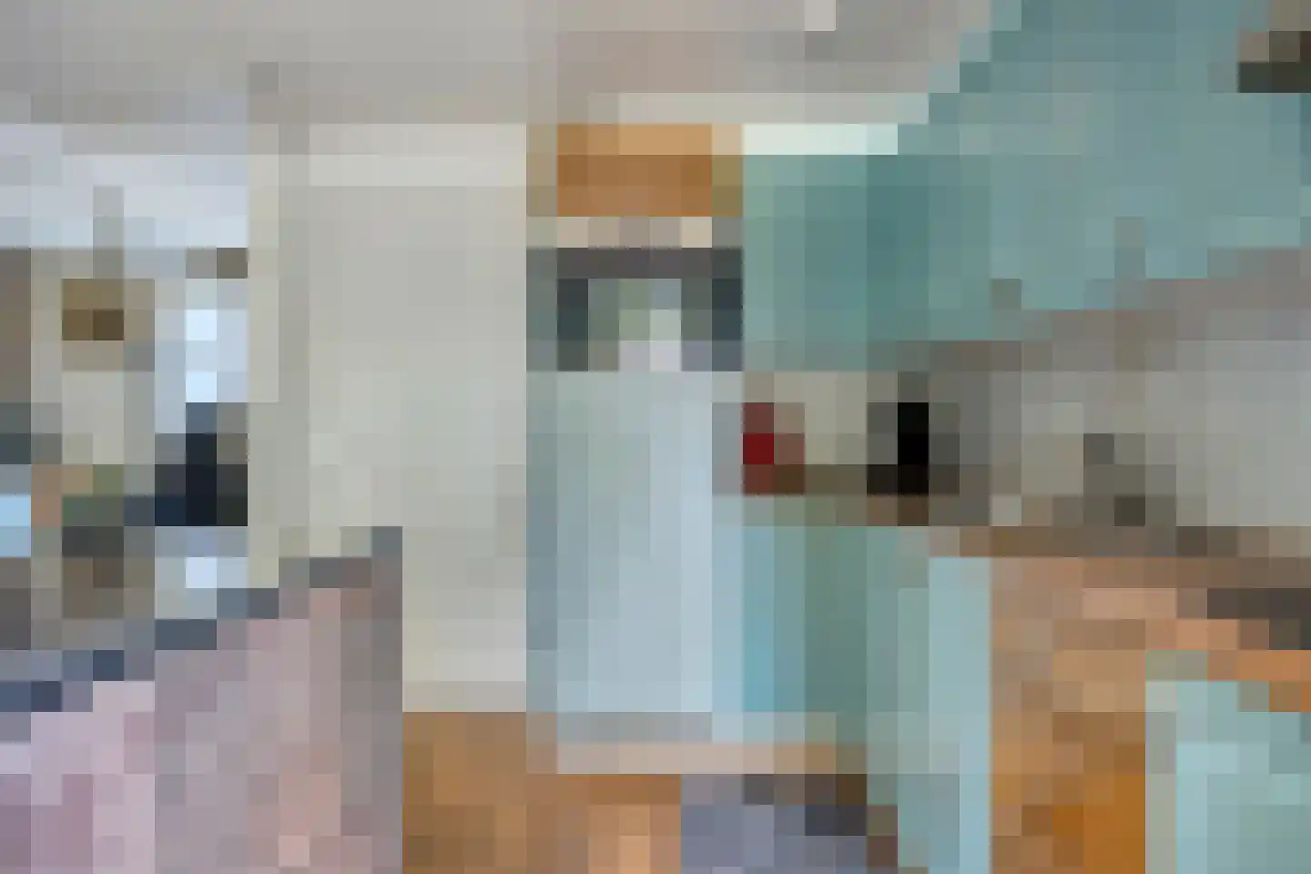 Mimosastraat 8 Rosmalen thumbnail 9