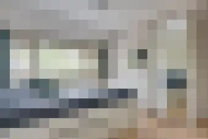 Mimosavallei 7 's-Hertogenbosch thumbnail 12