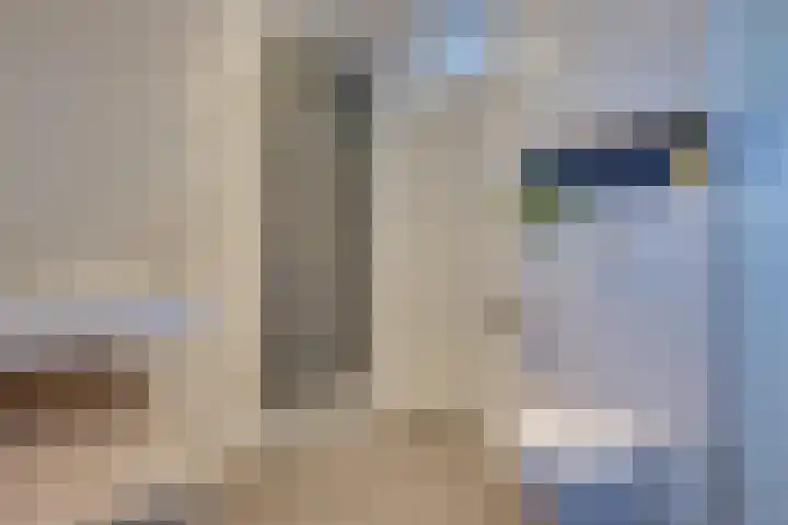 Mimosavallei 7 's-Hertogenbosch thumbnail 18