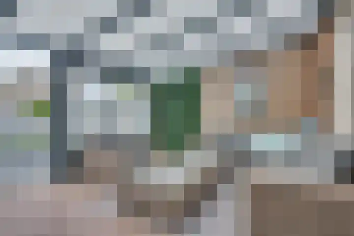 Mimosavallei 7 's-Hertogenbosch thumbnail 22
