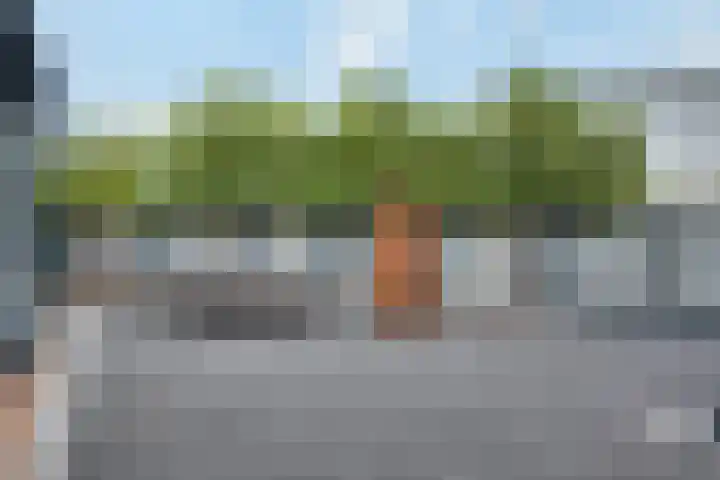 Mimosavallei 7 's-Hertogenbosch thumbnail 23