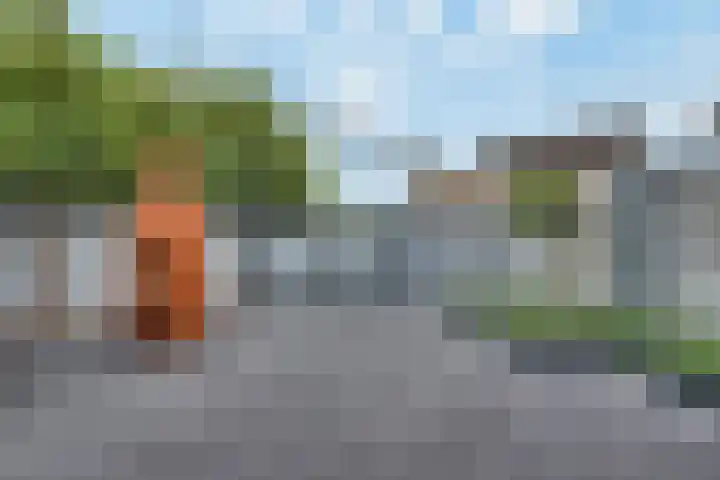 Mimosavallei 7 's-Hertogenbosch thumbnail 24