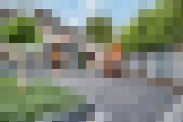 Mimosavallei 7 's-Hertogenbosch thumbnail 25