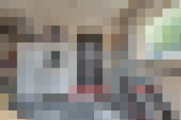 Mimosavallei 7 's-Hertogenbosch thumbnail 28