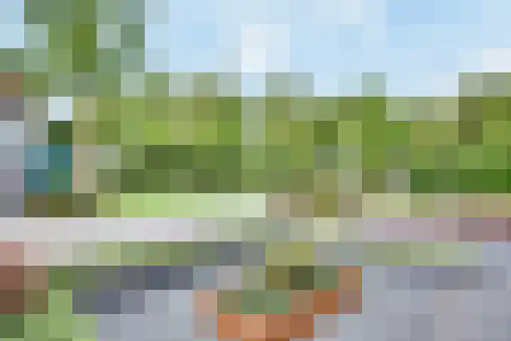 Mimosavallei 7 's-Hertogenbosch thumbnail 31