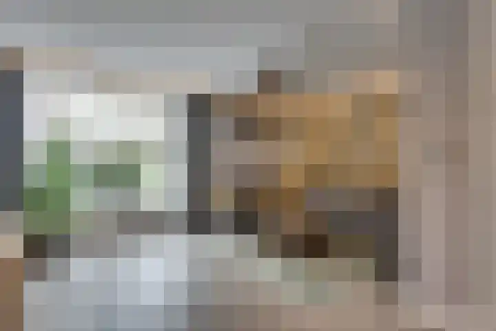 Mimosavallei 7 's-Hertogenbosch thumbnail 4