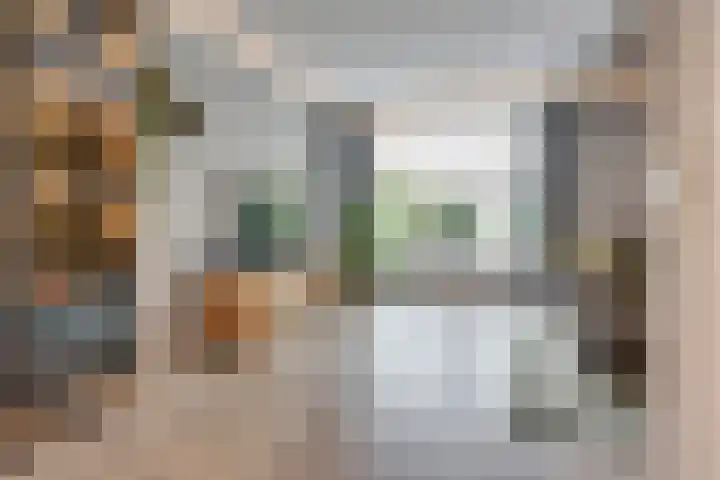 Mimosavallei 7 's-Hertogenbosch thumbnail 5