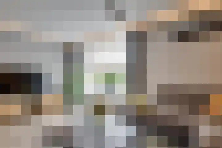 Mimosavallei 7 's-Hertogenbosch thumbnail 6