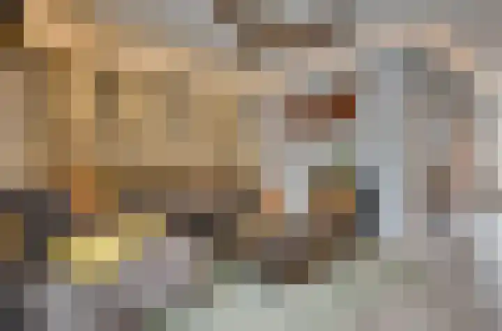Mimosavallei 7 's-Hertogenbosch thumbnail 7