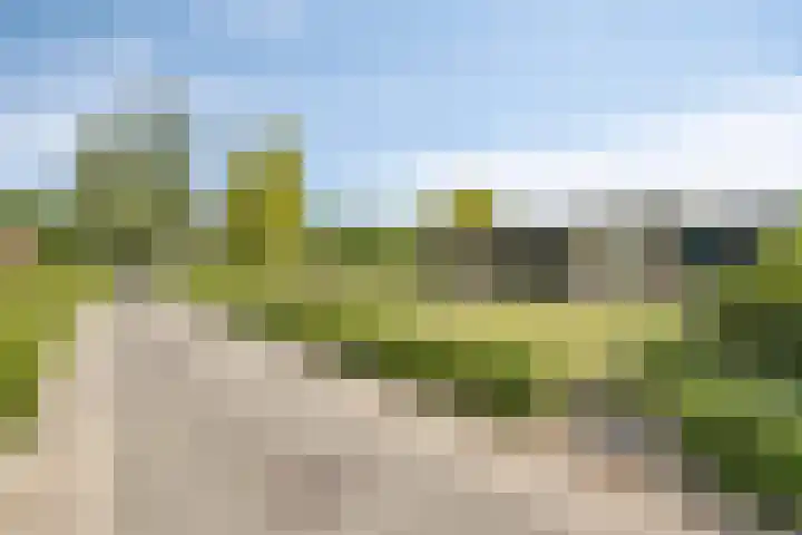Mimosaweg 8 Zelhem thumbnail 27