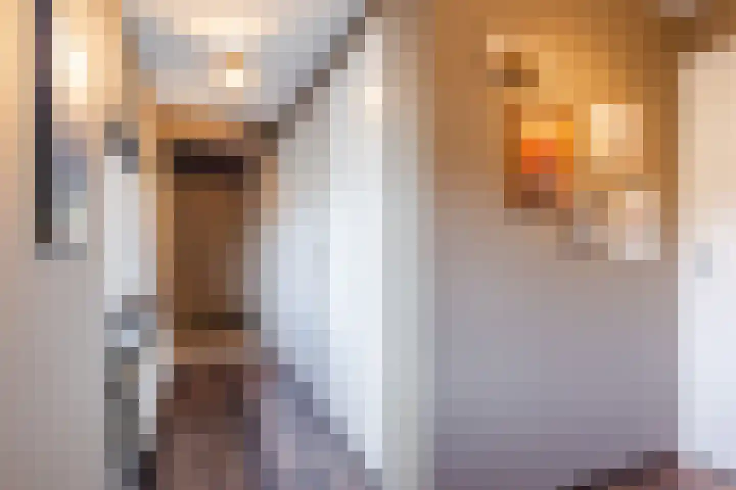 Min. Aalberselaan 2 Dongen thumbnail 20