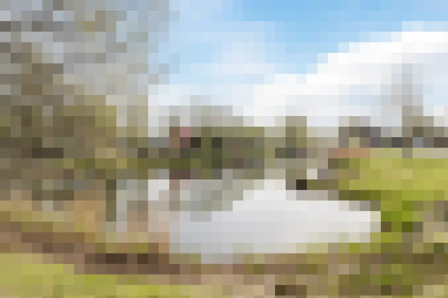 Min. Aalberselaan 2 Dongen thumbnail 38