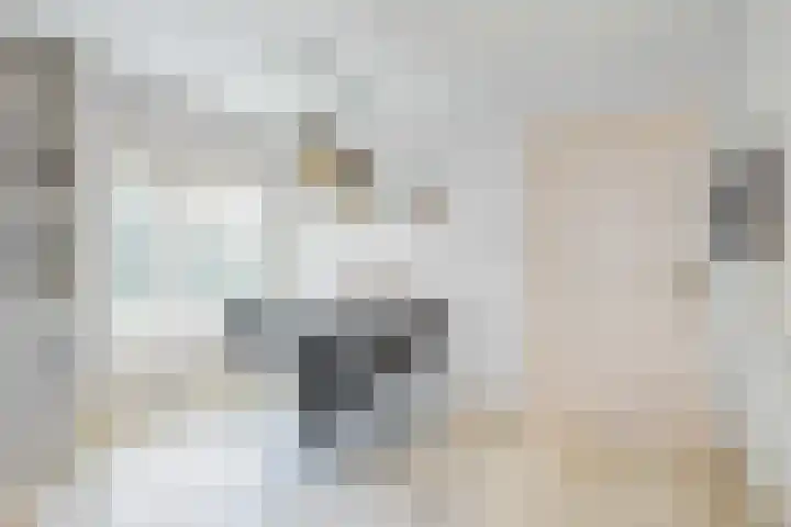 Min. Aalbersestraat 12 Valkenswaard thumbnail 10