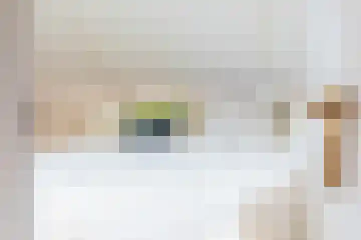 Min. Aalbersestraat 12 Valkenswaard thumbnail 13