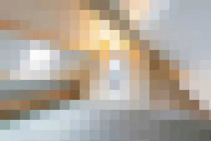 Min. Aalbersestraat 12 Valkenswaard thumbnail 29