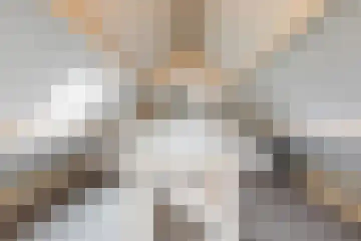 Min. Aalbersestraat 12 Valkenswaard thumbnail 30