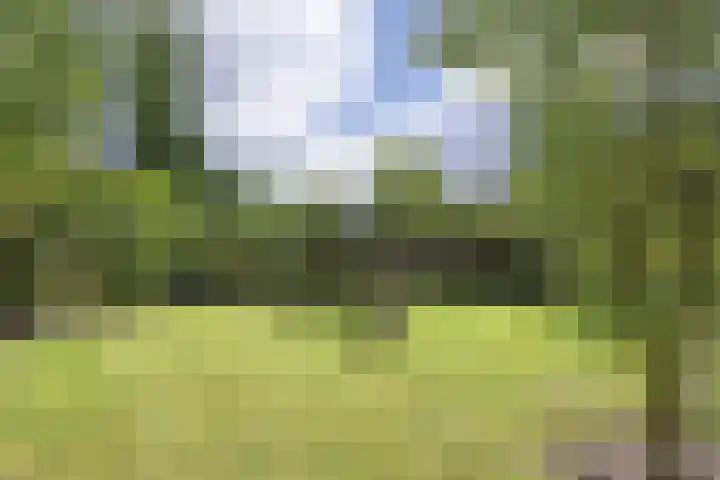 Min. Aalbersestraat 12 Valkenswaard thumbnail 32