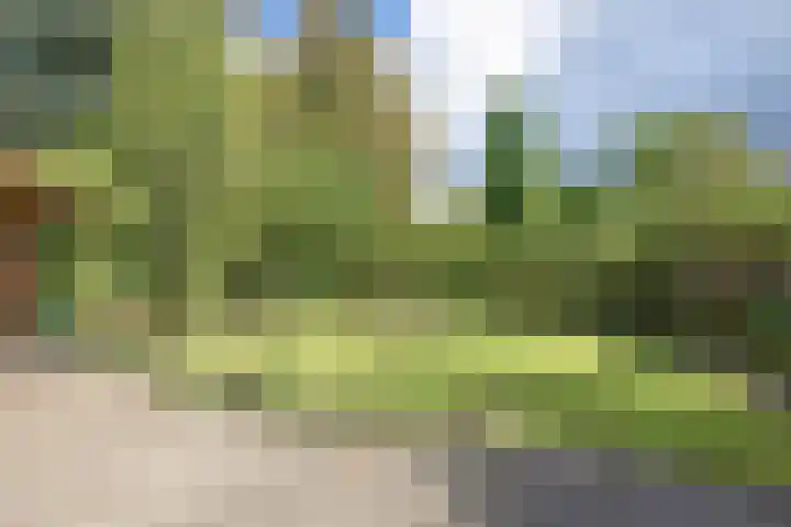 Min. Aalbersestraat 12 Valkenswaard thumbnail 37