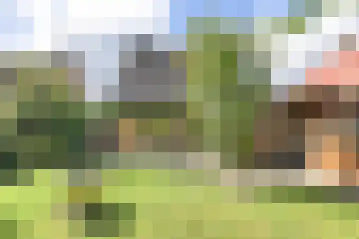 Min. Aalbersestraat 12 Valkenswaard thumbnail 38
