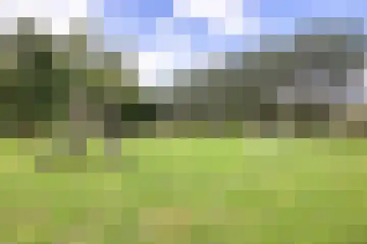 Min. Aalbersestraat 12 Valkenswaard thumbnail 40