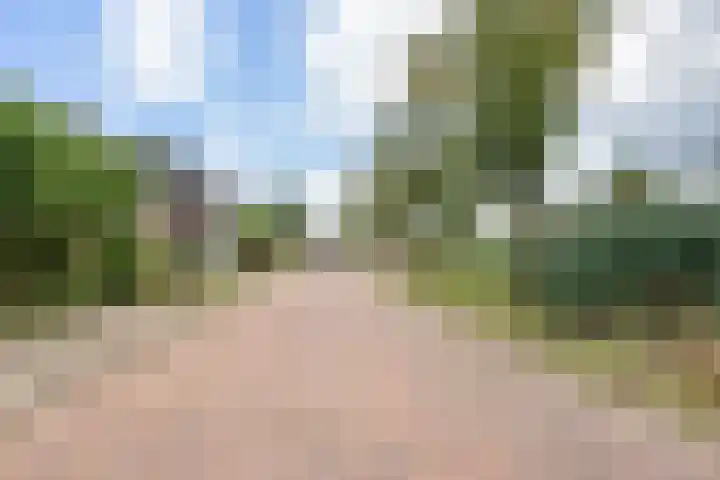 Min. Aalbersestraat 12 Valkenswaard thumbnail 41