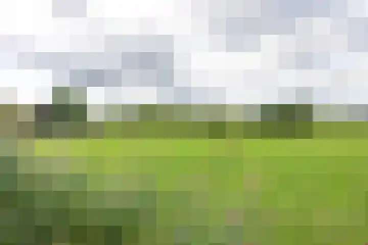 Min. Aalbersestraat 12 Valkenswaard thumbnail 43
