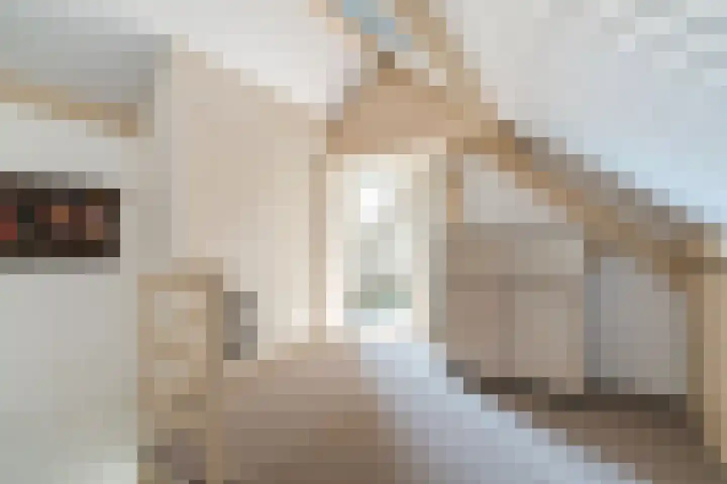 Min. Aalbersestraat 34 Valkenswaard thumbnail 35