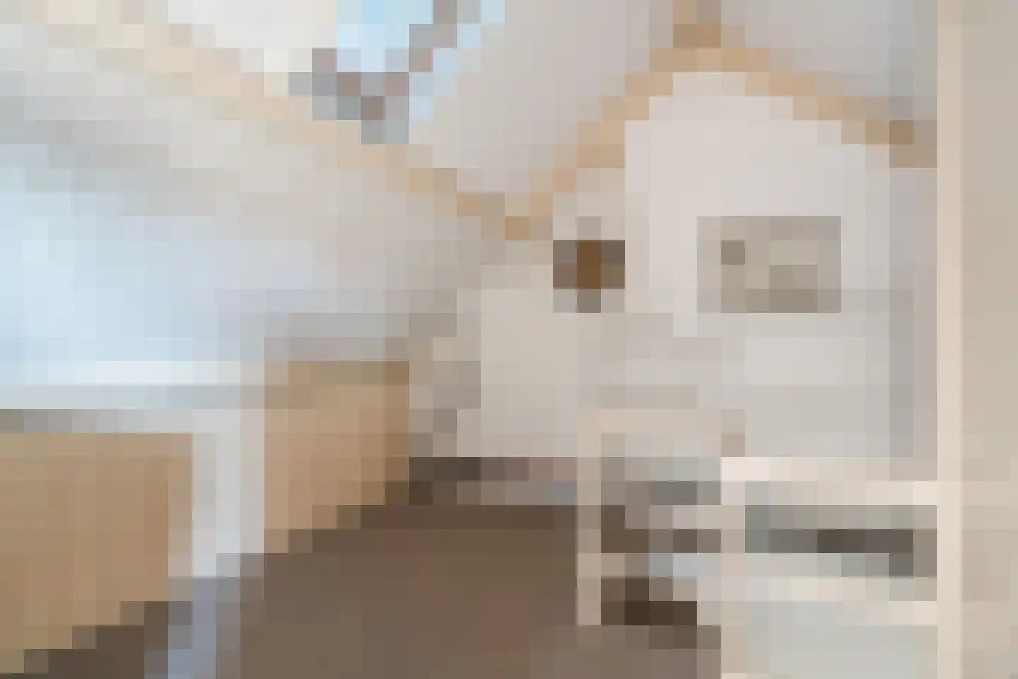 Min. Aalbersestraat 34 Valkenswaard thumbnail 36