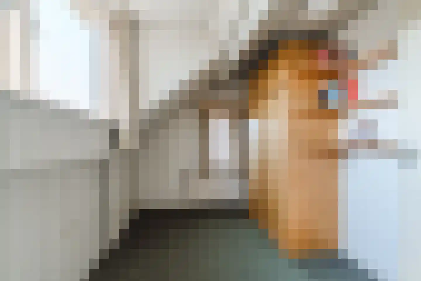 Min. Aalbersestraat 34 Valkenswaard thumbnail 38