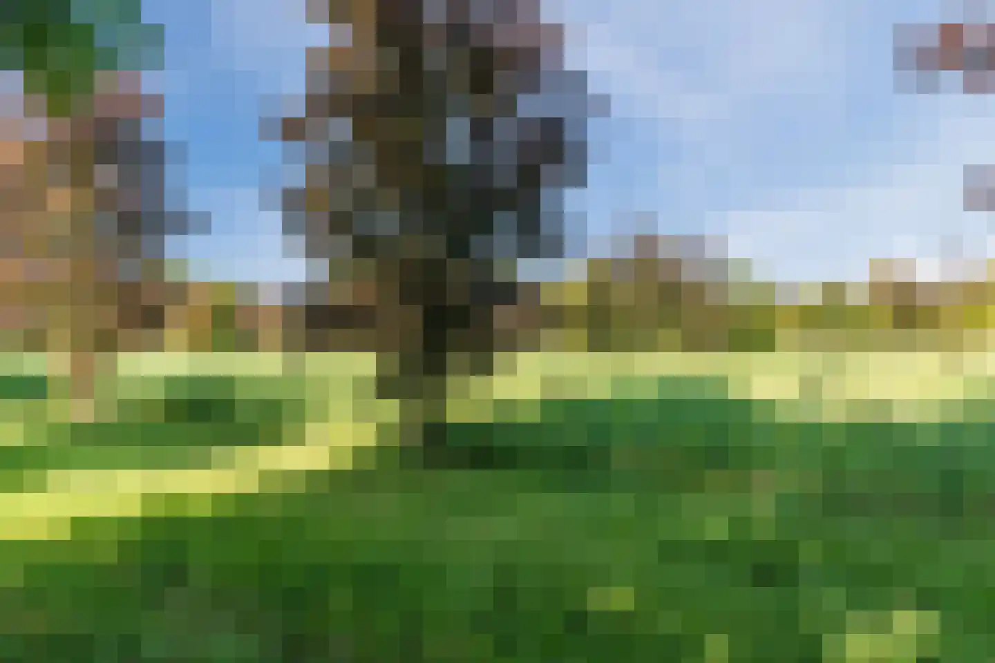 Min. Aalbersestraat 34 Valkenswaard thumbnail 45