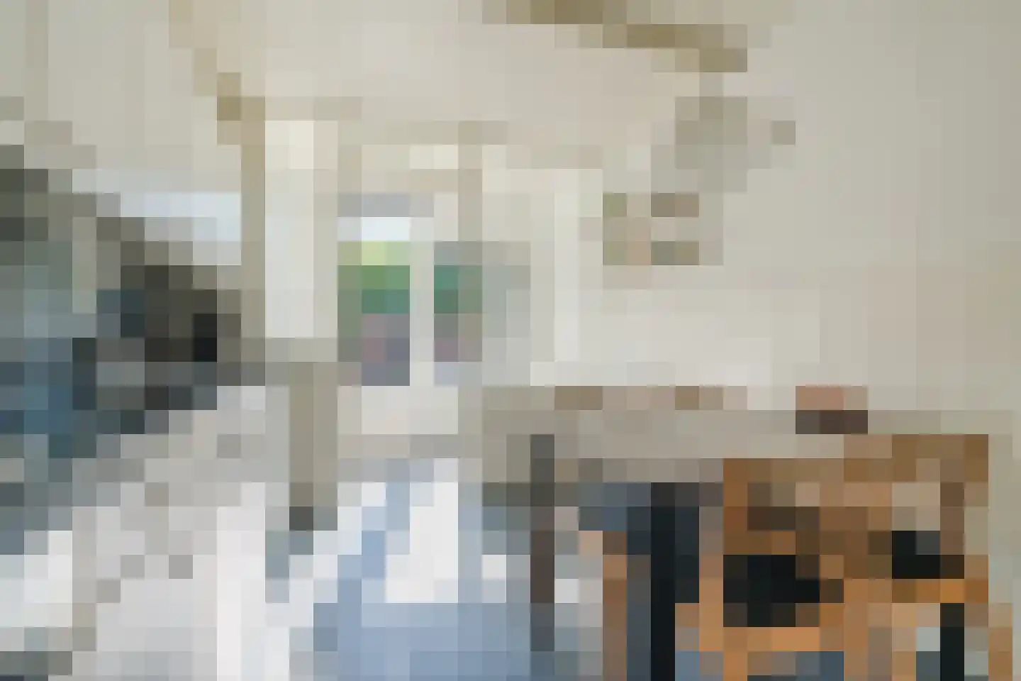 Min. Aalbersestraat 34 Valkenswaard thumbnail 9