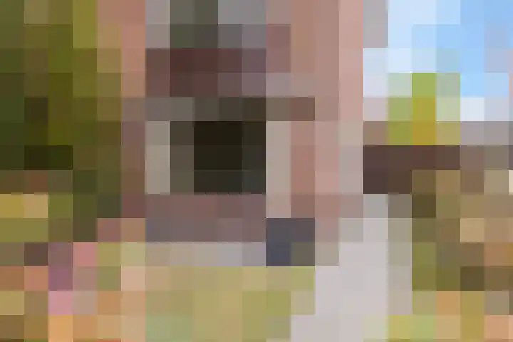Min. Aalbersestraat 46 Valkenswaard thumbnail 12