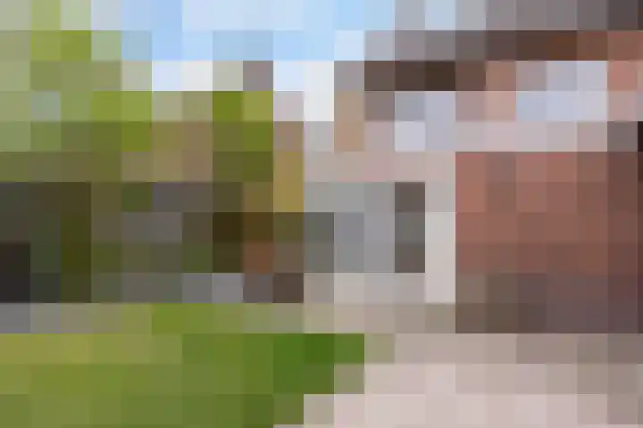 Min. Aalbersestraat 46 Valkenswaard thumbnail 47