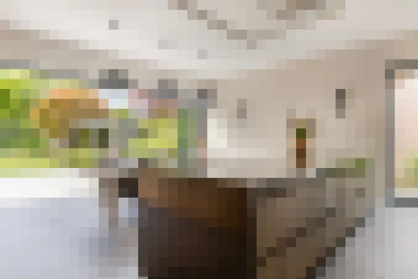 Min.Charles Ruysstraat 14 Venray thumbnail 25