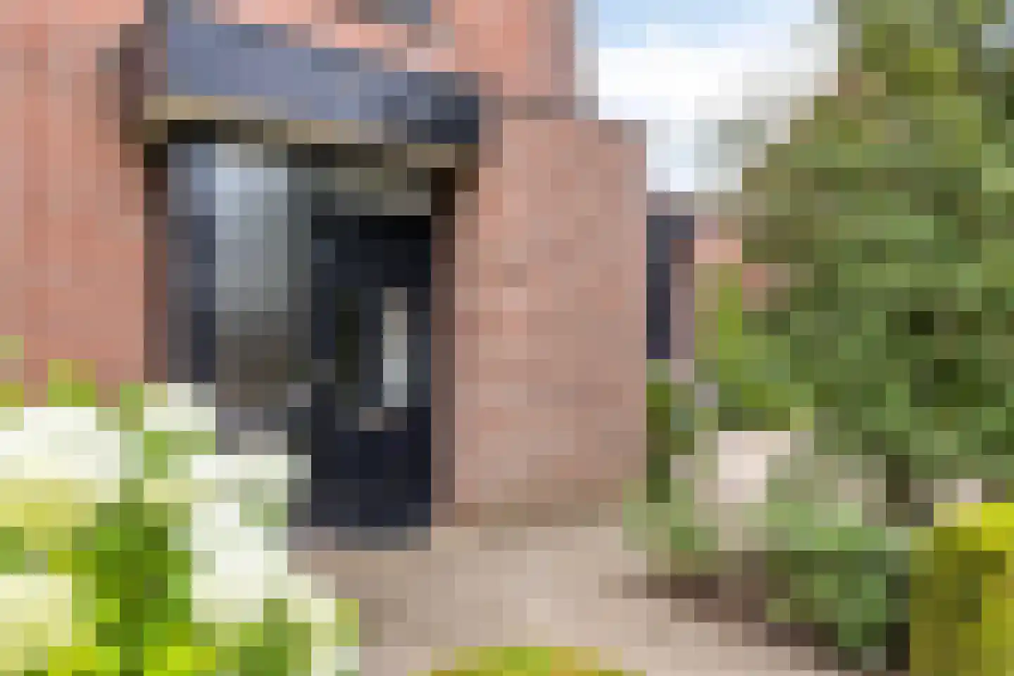 Min.Charles Ruysstraat 14 Venray thumbnail 5