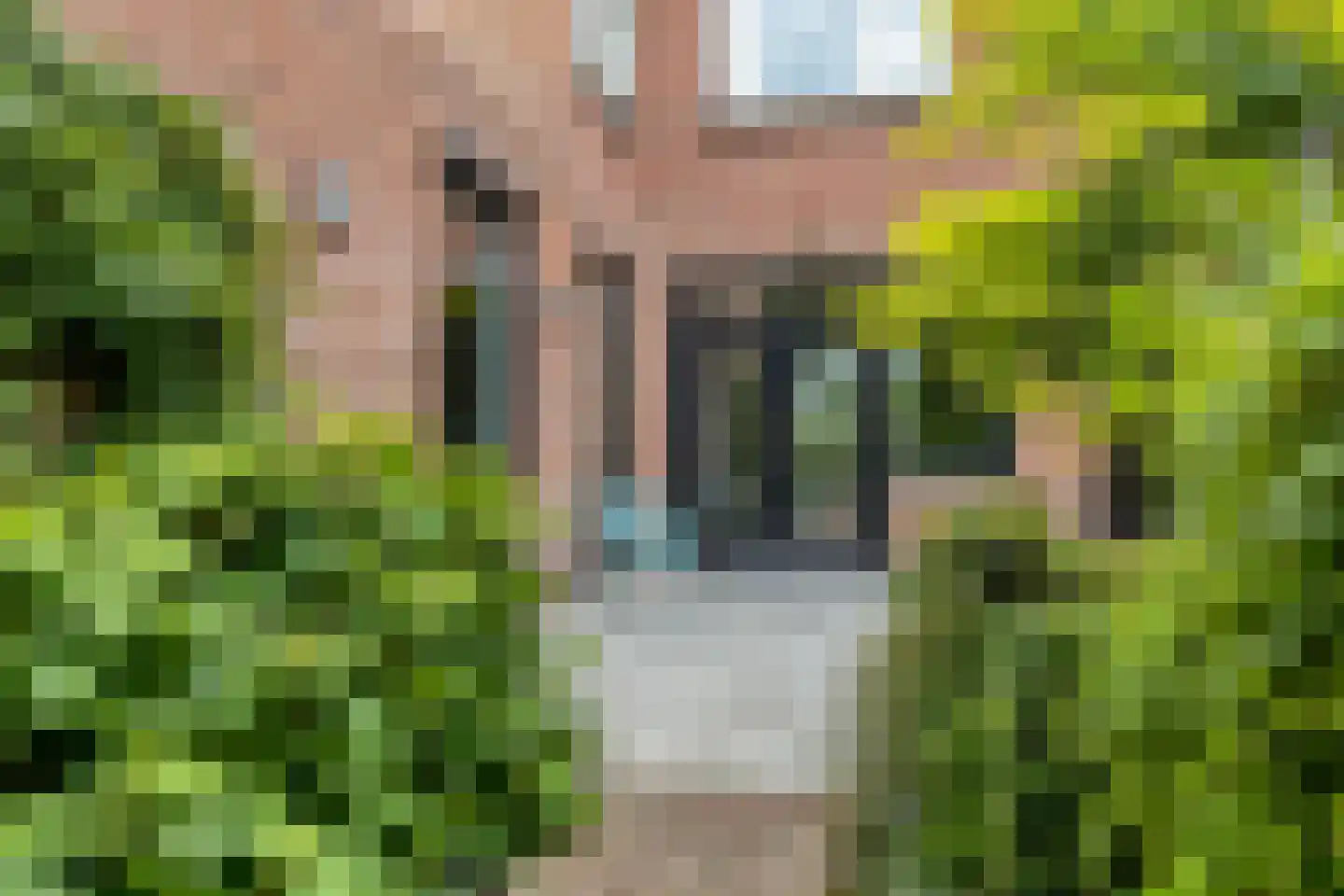 Min.Charles Ruysstraat 14 Venray thumbnail 62