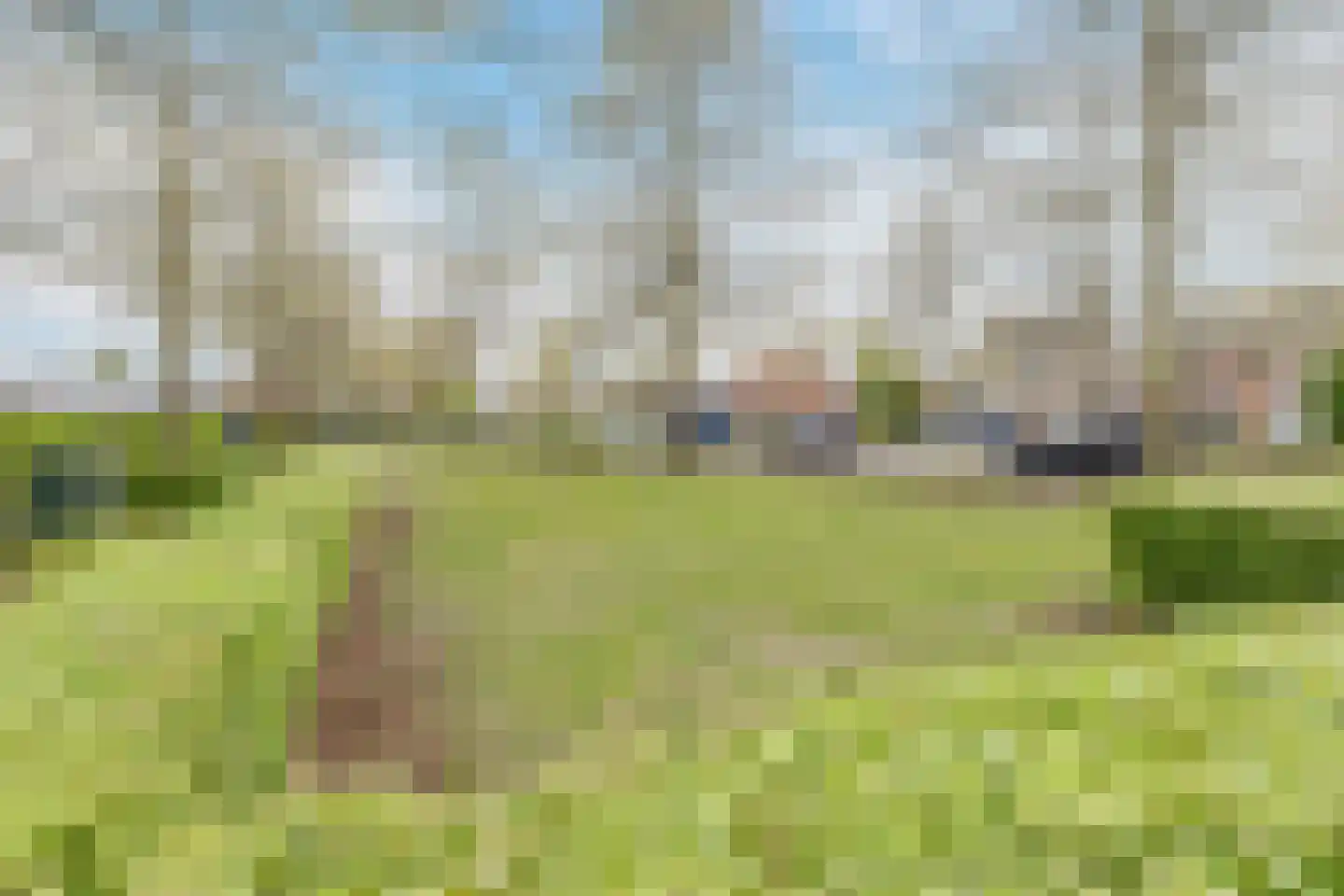Min. Loeffstraat 8 Dongen thumbnail 33