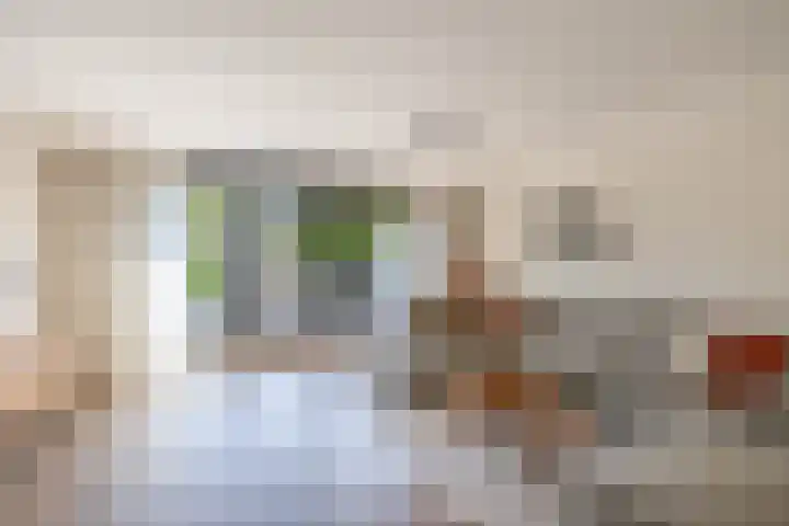 Mina Druckerhoeve 8 Waddinxveen thumbnail 11