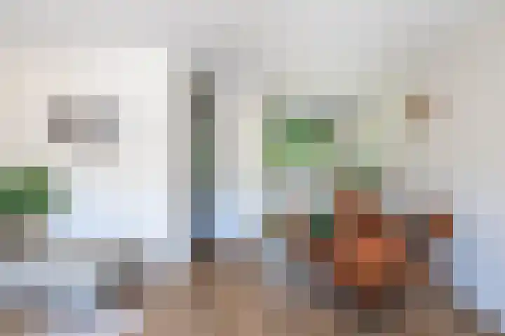 Mina Druckerhoeve 8 Waddinxveen thumbnail 13